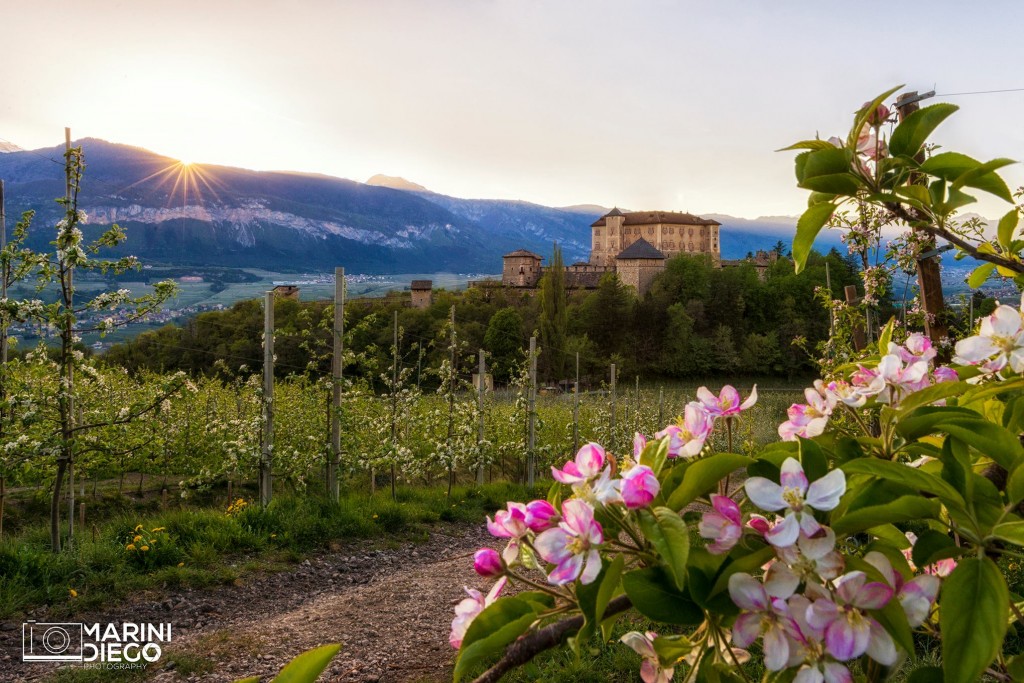 Castel Thun tra i meli in fiore di Diego Marini