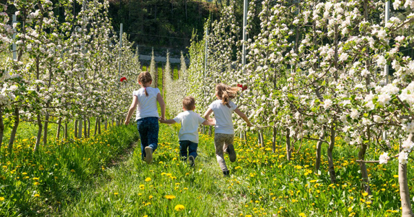 Trentino with children