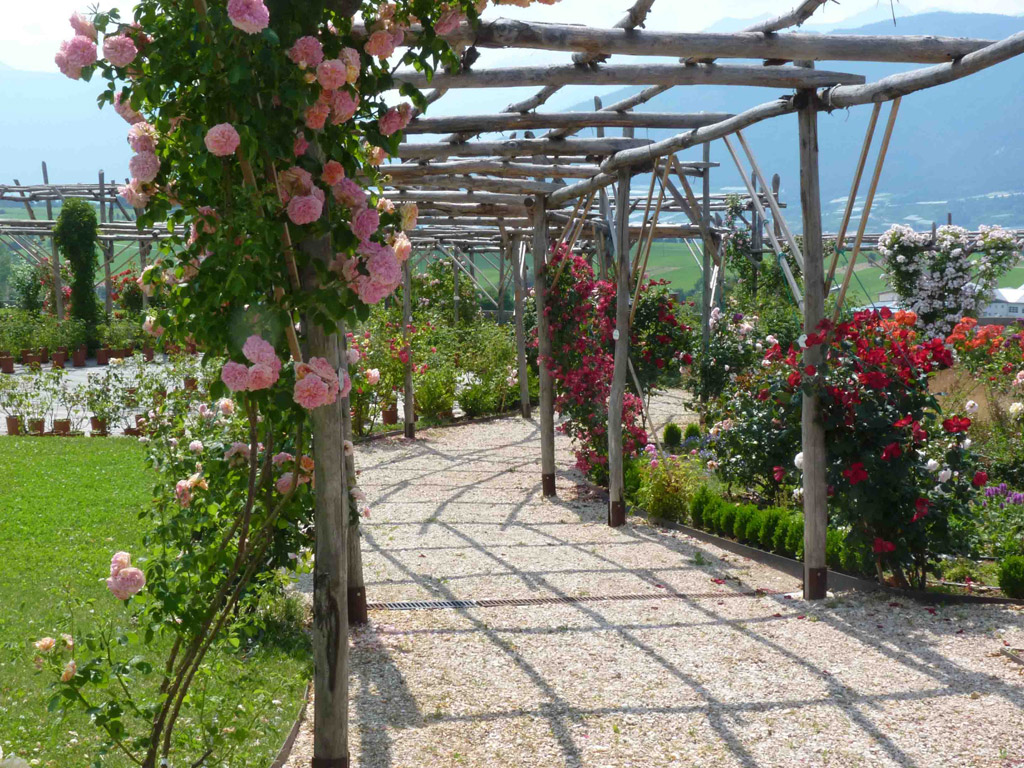 Il Giardino della Rosa di Ronzone