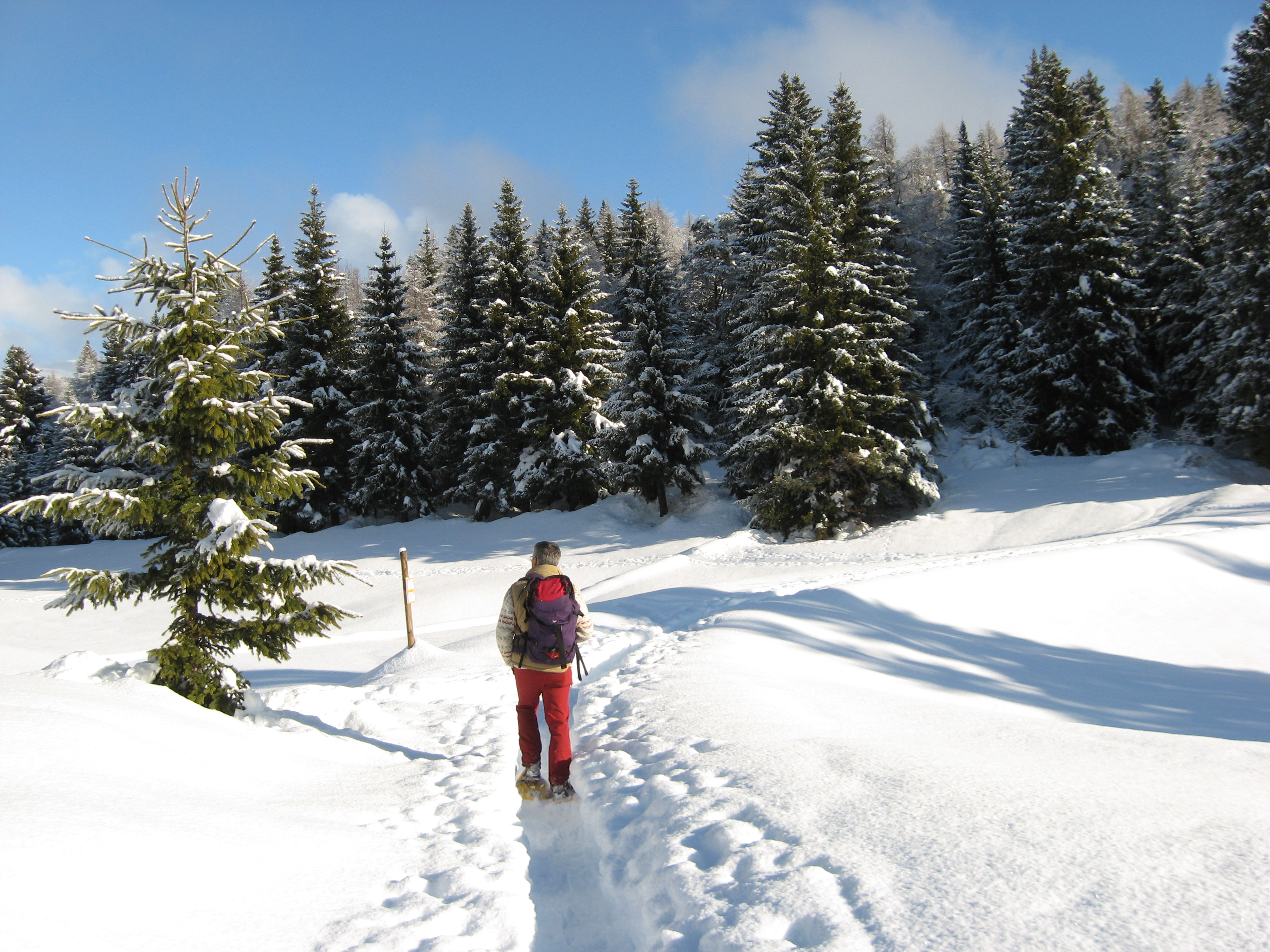 Una bella ciaspolata sulla neve fresca di Predaia in Trentino