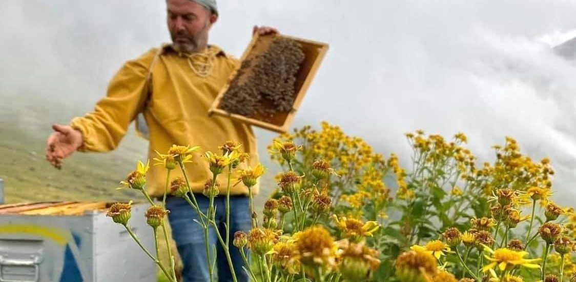 Andrea_Paternoster-giornata-mondiale-api