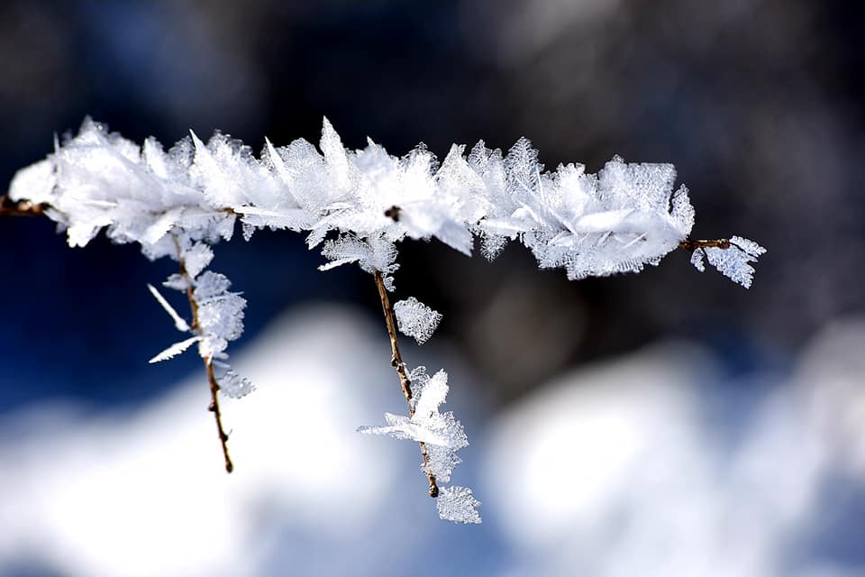 cristalli di ghiaccio neve