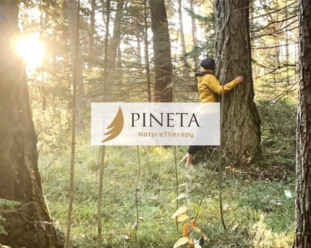 Pineta-nature-therapy-3