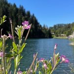 lago smeraldo-fondo-valdinon
