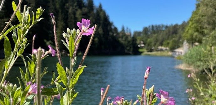 lago smeraldo-fondo-valdinon